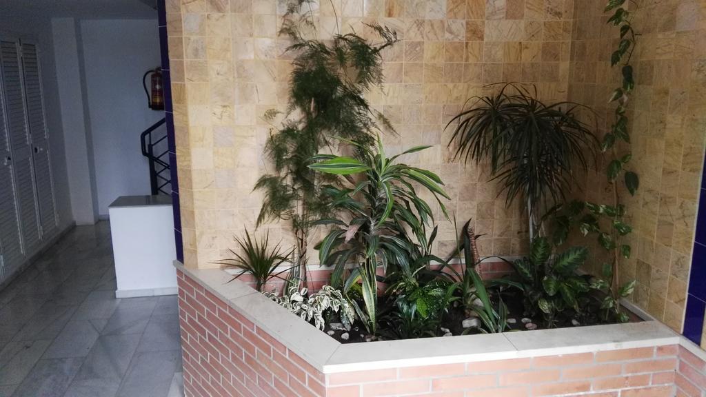 Fan Flat Eugenio Appartement Málaga Buitenkant foto